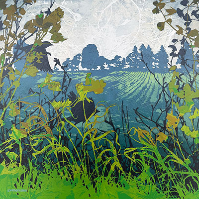 Judy Willemsma